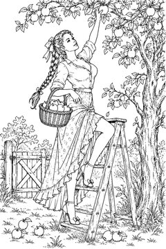 A young woman reaches for ripe apples while standing on a wooden ladder, creating a graceful harvest scene in detailed vintage monochrome line art for seasonal designs.