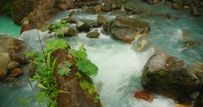 Fast flowing blue water river with white rapids around rocks and log in tropical jungle forest