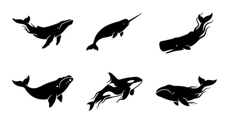 Whale Vector Silhouettes, Marine Mammal Icons, Ocean Wildlife Set, Aquatic Creatures Collection © Krishna