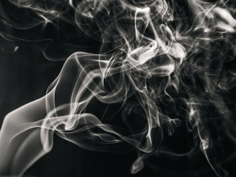 Intricate Cluster of Curling Smoke Wisps in Black and White Abstract