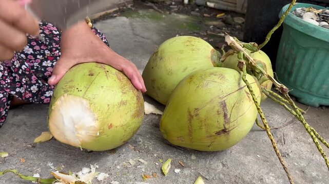 Close up of hands opening raw green coconut