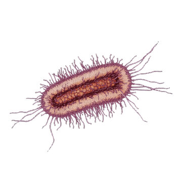 A detailed illustration depicts a clostridium botulinum bacterium with an endospore set against a white background
