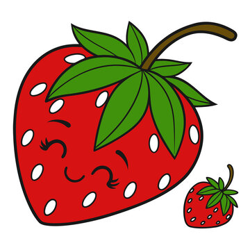 strawberry vector illustration