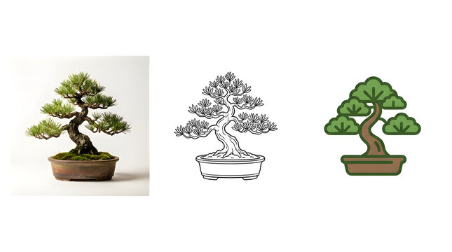 Japanese bonsai tree collection, miniature pine tree set in three styles, realistic photo and flat vector icons on white background