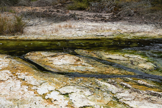 Hot water creek in Waimangu Volcanic Valley - Rotorua, New Zealand