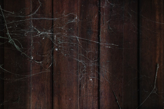 Cobweb on old wooden wall, abandoned home indoor