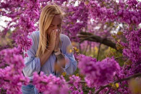 Young woman suffering from spring allergies, sneezing and holding a tissue to her nose, surrounded by vibrant blooming flowers causing seasonal hay fever