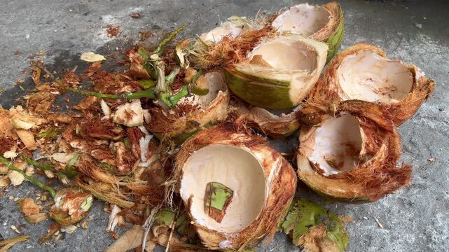 High angle view of cracked organic young coconut shells and husks piled on concrete floor