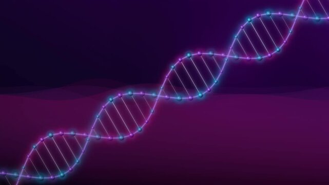 Glowing DNA double helix structure rotating on dark purple background for genetic
