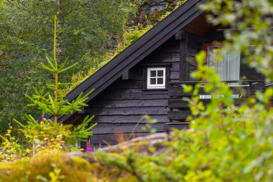 A beautiful nature and town mix in the Geiranger village. A summer scenery of World Heritage area in Western Norway.