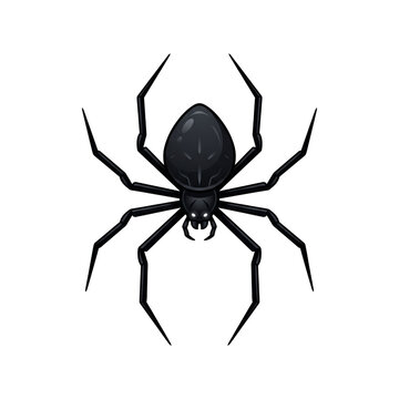 Menacing black Halloween creepy spider