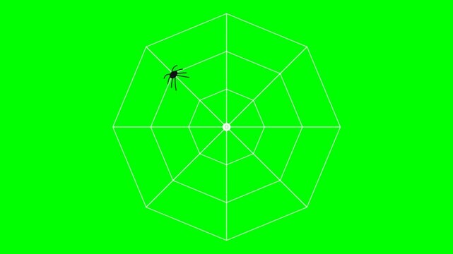 Bright Green Geometric Wireframe Frames With Spider.