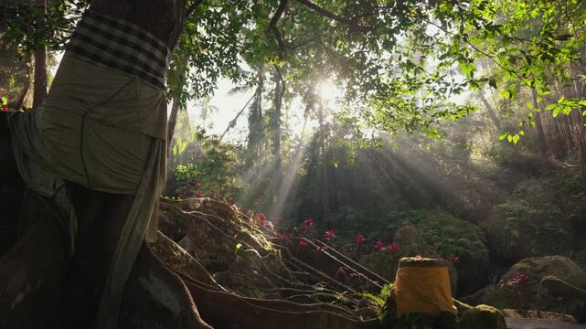 Ancient stone structures and weathered ruins intertwined with large tropical tree roots and dense vegetation at Goa Gajah archaeological site in Ubud, Bali