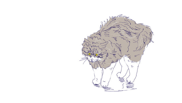威嚇して毛を逆立てる長毛の猫の手描きイラスト（ねこ・威嚇・やんのかポーズ・ペット・背景透過)
Fluffy cat in threatening posture hand-drawn illustration (cat, intimidate, arching back, pet, transparent PNG)