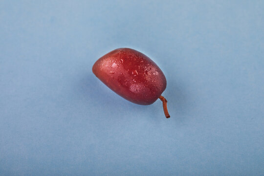 Colorful olive on a blue background, top view.