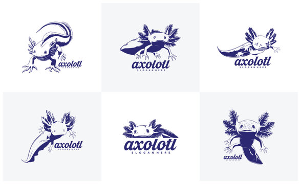 Set of Axolotl logo design vector. Silhouette Axolotl Template Illustration. Icon Symbol