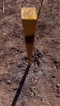 Wooden marker stake in scorched dark soil marking the point of a controlled munition detonation, with a long hard shadow in direct sunlight