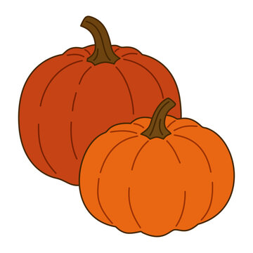 Two Orange Pumpkins Hand Drawn Illustration for Autumn Harvest Thanksgiving and Fall Seasonal Design