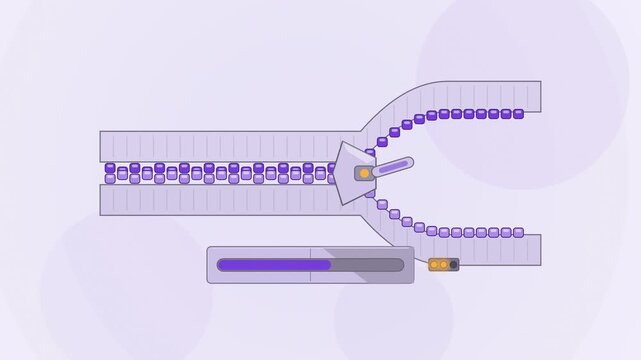 Abstract animated zipper teeth merging under slider drawn as violet and blue lines and shapes on a bright, clean light background. Seamless looping 4K motion graphics video with free space for text, i