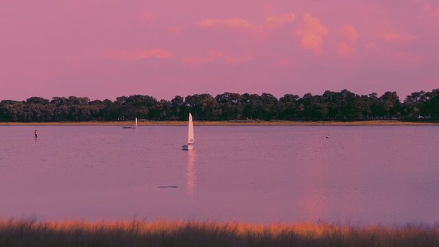 Peaceful weekend recreation with a sailboat on a calm lake, color graded in a beautiful pink and purple tone