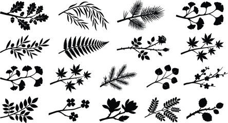 Fototapeta premium Elegant Botanical Branch Silhouette Collection Featuring Oak, Willow, Pine, Berry, Fern, Maple, Eucalyptus, and Decorative Foliage Elements
