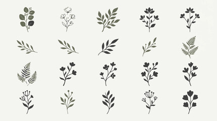 Fototapeta premium Elegant Botanical Vector Illustration of Leaf and Flower Elements