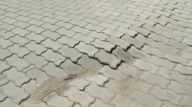 Damaged interlocking pavers on a sidewalk