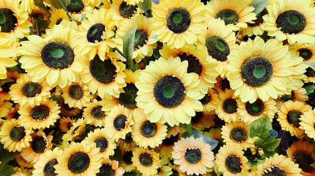 A dense background of vibrant yellow artificial sunflowers. The close-up view shows many flowers with dark centers and bright yellow petals, creating a cheerful floral texture, perfect for decor.