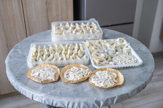 Frozen handmade dumplings and noodles are laid out on the table.
