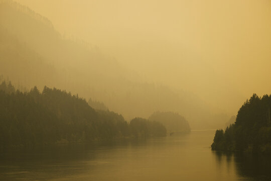 Quiet river surrounded by trees in thick yellow fog