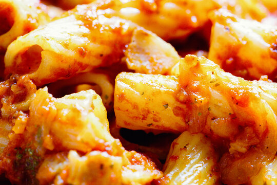 Italian rigatoni amatriciana tomato sauce pasta