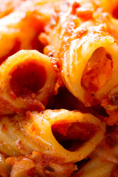 Italian rigatoni amatriciana tomato sauce pasta