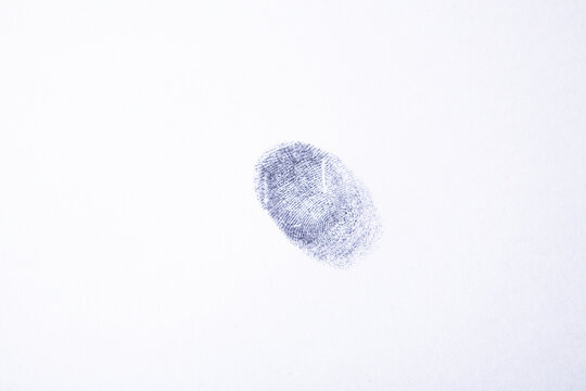 black fingerprint on white Transparent background.