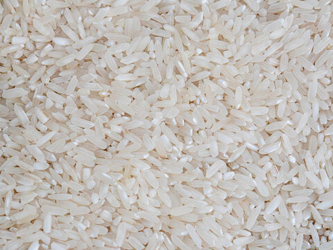 White Rice Grains Texture Background
