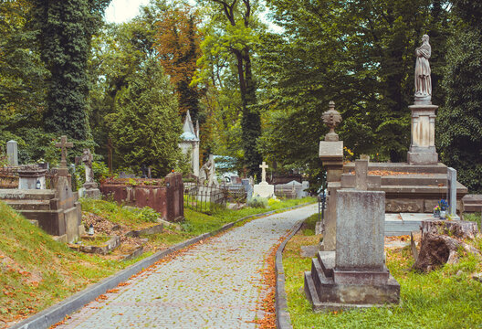Ancient cemetery monuments featuring ornate gravestones, weathered stone sculptures and historic tombs surrounded by trees. Atmospheric old-world funerary architecture and timeless memorial details 