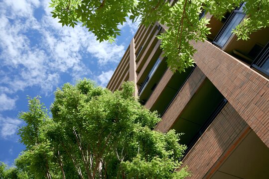 新緑の木々と青空が映える都会の高層マンションを見上げる