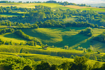 Naklejka premium Green landscape in Pupillin commune, Jura wine region, Bourgogne-Franche-Comte in France.