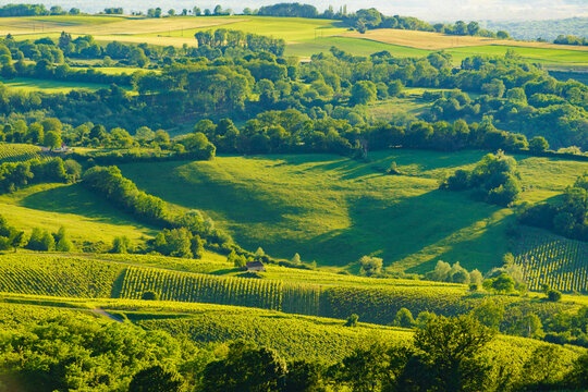 Green landscape in Pupillin commune, Jura wine region, Bourgogne-Franche-Comte in France.