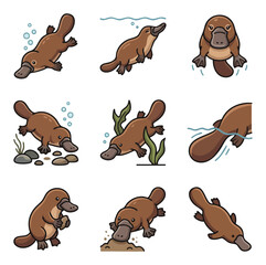 Obraz premium Collection of cute platypus icons in various poses and actions
