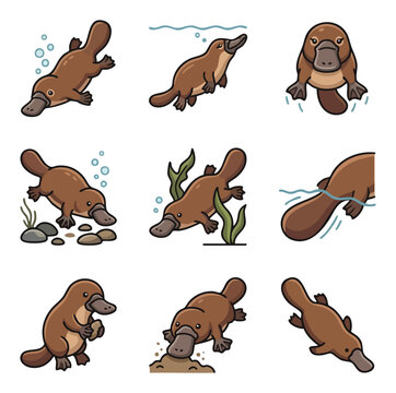 Collection of cute platypus icons in various poses and actions
