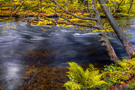 Oktoberabend im Herbst an der W&uuml;rm, Leutstetten, Starnberg, Oberbayern, Bayern, Deutschland