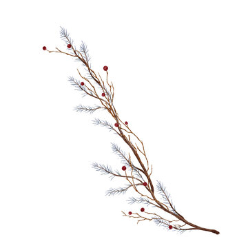 Hand painted watercolor winter composition of bare brown twigs, dusty blue fir sprigs and red berries arranged diagonally across a square format with empty corners, white background. For greeting card