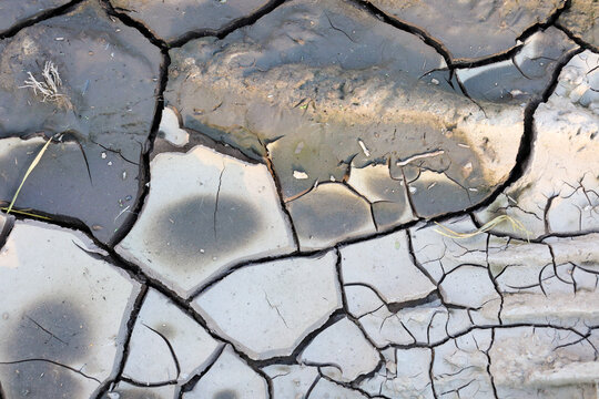 Dry cracked earth with a pronounced texture of deep fissures and drying mud patterns. A macro shot of the parched soil surface clearly illustrates the consequences of drought, heat, and moisture scarc