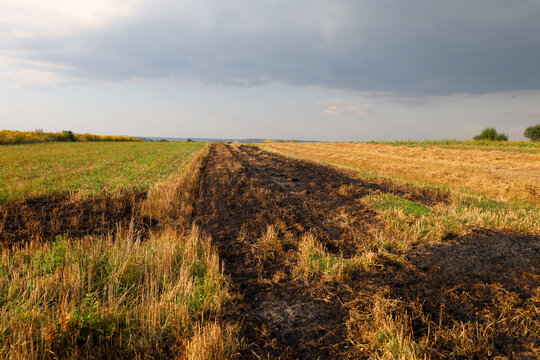 A mowed agricultural field with traces of burned stubble stretches beneath a cloudy, stormy sky. The contrast between black char, golden straw, and green vegetation highlights ecological and agricultu