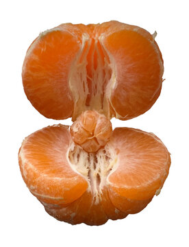 navel orange tangarine isolated on transparent background