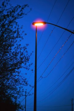 Solitary streetlamp glowing orange beside power lines and silhouetted tree branches against a deep blue twilight sky, quiet and serene mood