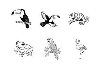 Naklejka premium Hand drawn tropical animal sketches including toucan chameleon frog parrot and flamingo.