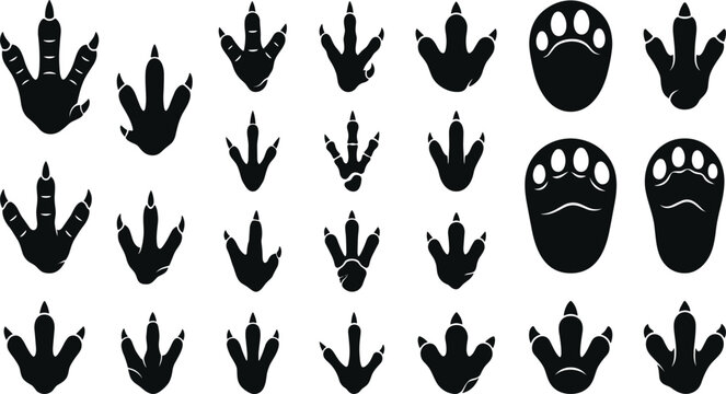 Dinosaur footprint silhouette collection featuring various prehistoric reptile tracks, claw marks, three toed footprints, and fossilized paw impressions