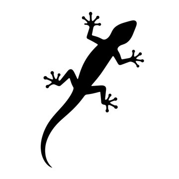 Black Lizard Icon Silhouette
