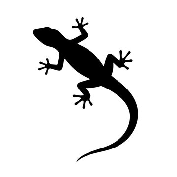 Black Lizard Icon Silhouette
